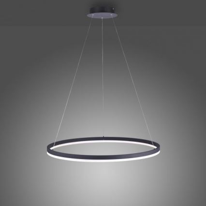 Paul Neuhaus 2383-13 - Dimbar LED-lampakrona med snöre TITUS LED/50W/230V