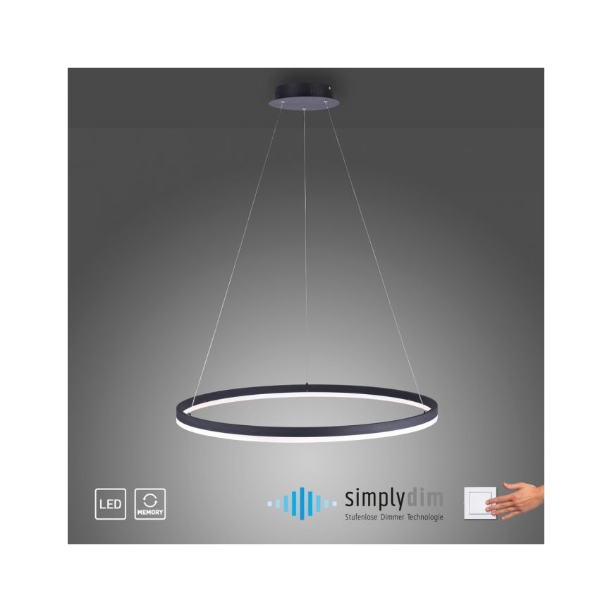 Paul Neuhaus 2383-13 - Dimbar LED-lampakrona med snöre TITUS LED/50W/230V