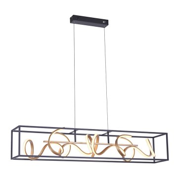 Paul Neuhaus 2416-18 - Dimbar LED-lampakrona med snöre SELINA 4xLED/10,2W/230V