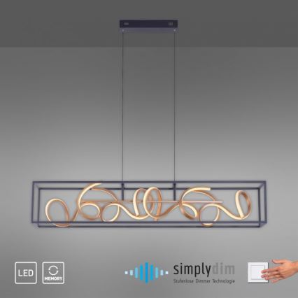 Paul Neuhaus 2416-18 - Dimbar LED-lampakrona med snöre SELINA 4xLED/10,2W/230V
