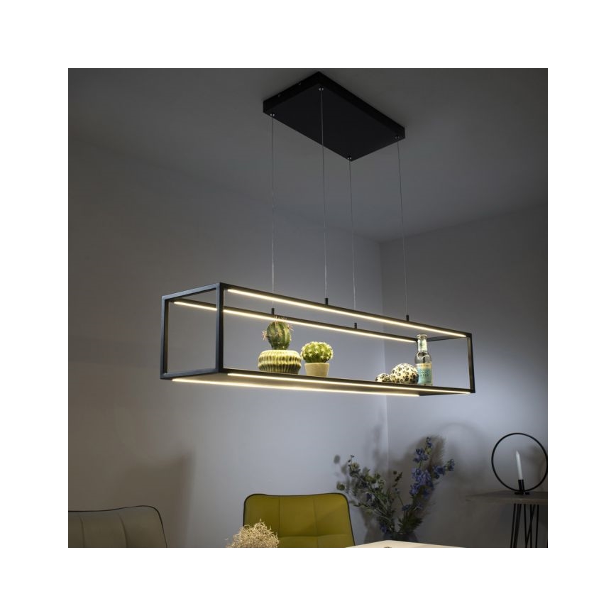 Paul Neuhaus 2441-18 - LED ljusreglerad Ljuskrona med upphängningsrem  CONTURA 4xLED/8W/230V