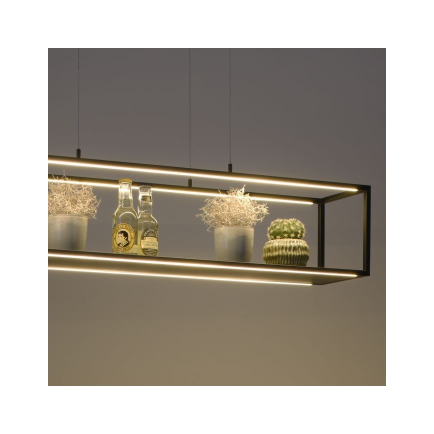 Paul Neuhaus 2441-18 - LED ljusreglerad Ljuskrona med upphängningsrem  CONTURA 4xLED/8W/230V