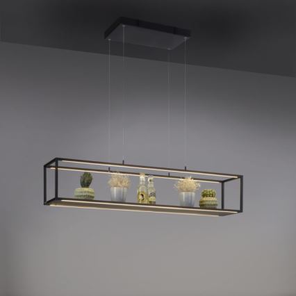 Paul Neuhaus 2441-18 - LED ljusreglerad Ljuskrona med upphängningsrem  CONTURA 4xLED/8W/230V