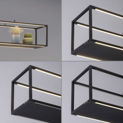 Paul Neuhaus 2441-18 - LED ljusreglerad Ljuskrona med upphängningsrem  CONTURA 4xLED/8W/230V