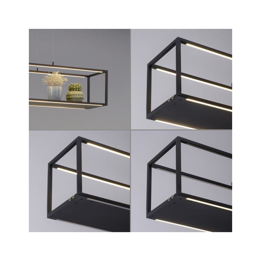 Paul Neuhaus 2441-18 - LED ljusreglerad Ljuskrona med upphängningsrem  CONTURA 4xLED/8W/230V