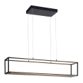 Paul Neuhaus 2441-18 - LED ljusreglerad Ljuskrona med upphängningsrem  CONTURA 4xLED/8W/230V