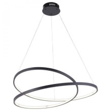 Paul Neuhaus 2474-18 - Dimbar LED-lampakrona med snöre ROMAN LED/40W/230V svart