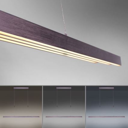 Paul Neuhaus 2568-24 - LED ljusreglerad ljuskrona på textilsladd ADRIANA LED/14W/230V 2700-5000K