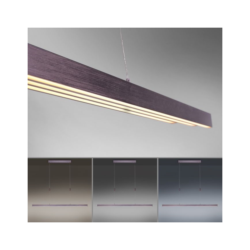 Paul Neuhaus 2568-24 - LED ljusreglerad ljuskrona på textilsladd ADRIANA LED/14W/230V 2700-5000K