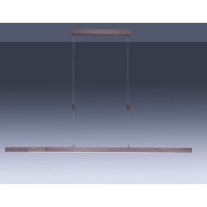 Paul Neuhaus 2568-24 - LED ljusreglerad ljuskrona på textilsladd ADRIANA LED/14W/230V 2700-5000K