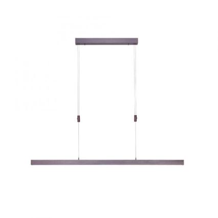 Paul Neuhaus 2568-24 - LED ljusreglerad ljuskrona på textilsladd ADRIANA LED/14W/230V 2700-5000K