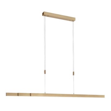 Paul Neuhaus 2568-60 - LED ljusreglerad ljuskrona på textilsladd ADRIANA LED/14W/230V  2700-5000K mässing