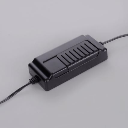 Paul Neuhaus 381-13 - LED ljusreglerad golvlampa  TITUS LED/19,5W/230V