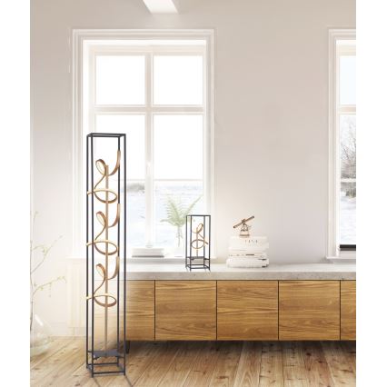 Paul Neuhaus 415-18 - LED Dimbar Golvlampa SELINA 3xLED/10.W/230V