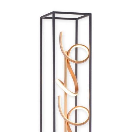 Paul Neuhaus 415-18 - LED Dimbar Golvlampa SELINA 3xLED/10.W/230V