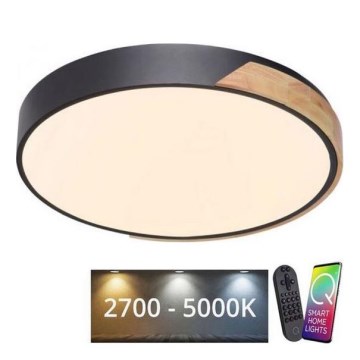 Paul Neuhaus 6071-18 - LED dimbar taklampa Q-PIATO LED/35W/230V Ø 51 cm 2700-5000K Wi-Fi + fjärrkontroll