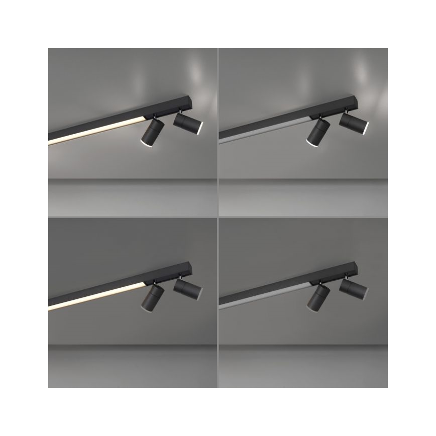 Paul Neuhaus 6121-13 - LED dimbar spotlight PURE 4xLED/4W/230V + LED/9W 2700-5000K + fjärrkontroll