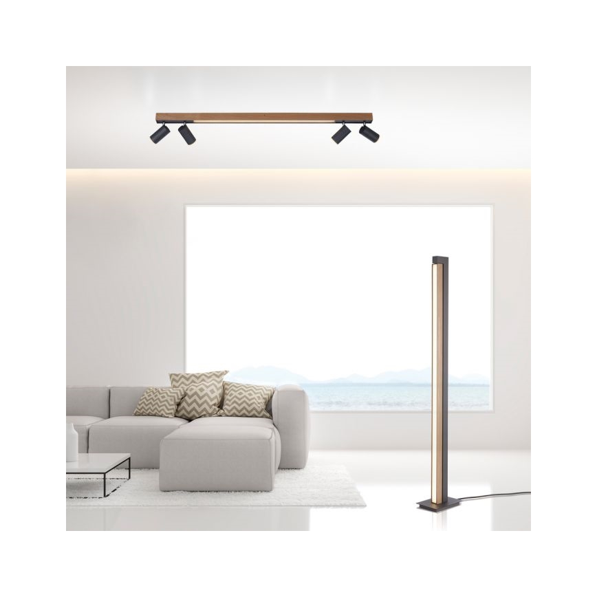 Paul Neuhaus 6121-79 - LED ljusreglerad spotlight PURE 4xLED/4W/230V + LED/9W 2700-5000K + fjärrkontroll