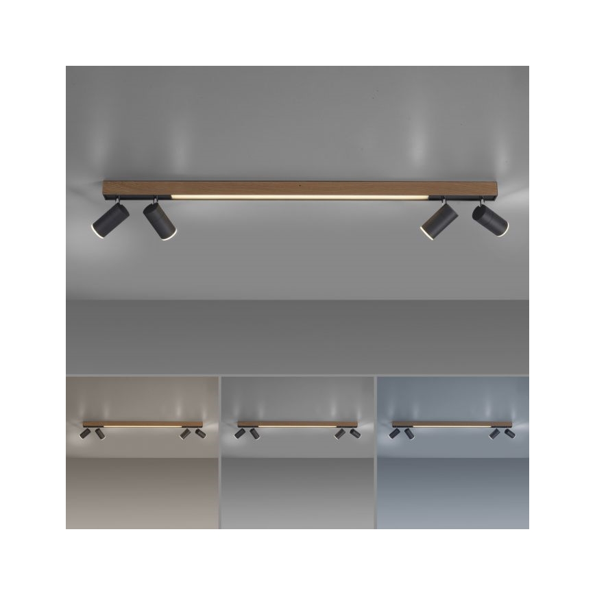 Paul Neuhaus 6121-79 - LED ljusreglerad spotlight PURE 4xLED/4W/230V + LED/9W 2700-5000K + fjärrkontroll