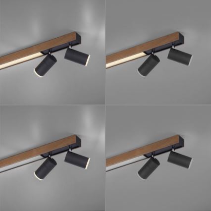 Paul Neuhaus 6121-79 - LED ljusreglerad spotlight PURE 4xLED/4W/230V + LED/9W 2700-5000K + fjärrkontroll