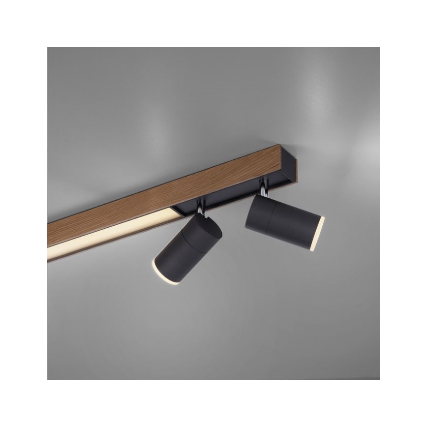 Paul Neuhaus 6121-79 - LED ljusreglerad spotlight PURE 4xLED/4W/230V + LED/9W 2700-5000K + fjärrkontroll