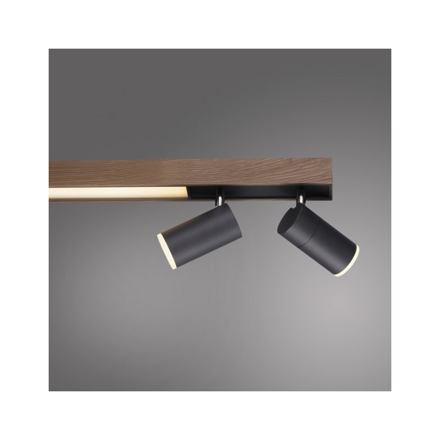 Paul Neuhaus 6121-79 - LED ljusreglerad spotlight PURE 4xLED/4W/230V + LED/9W 2700-5000K + fjärrkontroll