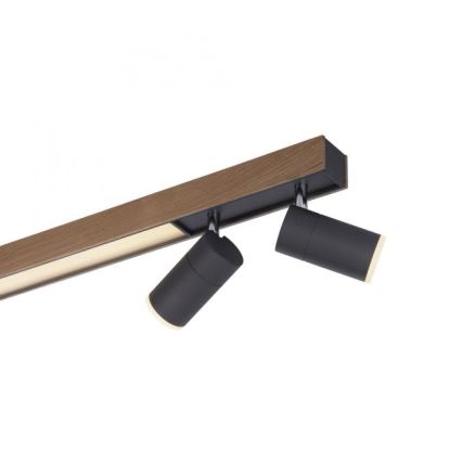 Paul Neuhaus 6121-79 - LED ljusreglerad spotlight PURE 4xLED/4W/230V + LED/9W 2700-5000K + fjärrkontroll