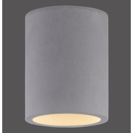 Paul Neuhaus 6160-22 - Spotlight ETON 1xGU10/10W/230V betong