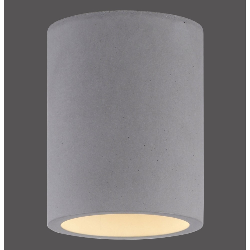 Paul Neuhaus 6160-22 - Spotlight ETON 1xGU10/10W/230V betong