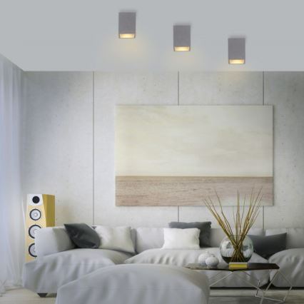 Paul Neuhaus 6161-22 - Spotlight ETON 1xGU10/10W/230V betong