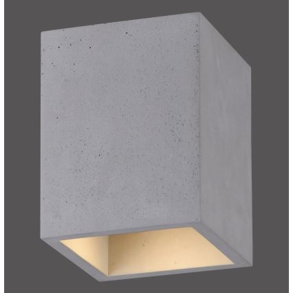 Paul Neuhaus 6161-22 - Spotlight ETON 1xGU10/10W/230V betong