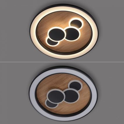 Paul Neuhaus 6284-79 - LED taklampa ELIZA LED/55,5W/230V diameter 60 cm ek