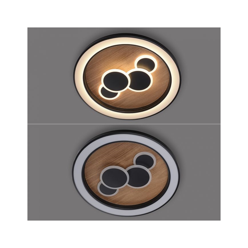 Paul Neuhaus 6284-79 - LED taklampa ELIZA LED/55,5W/230V diameter 60 cm ek