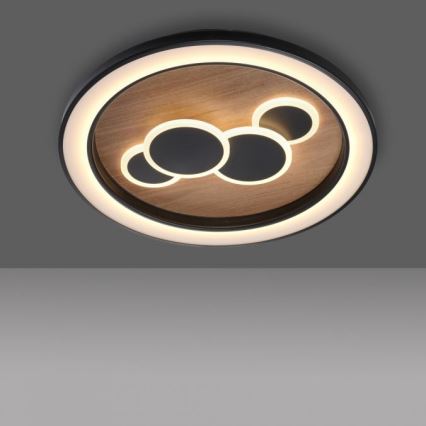 Paul Neuhaus 6284-79 - LED taklampa ELIZA LED/55,5W/230V diameter 60 cm ek