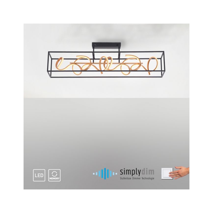 Paul Neuhaus 6473-18 - LED Dimbar Hängande Ljuskrona SELINA 4xLED/10,2W/230V