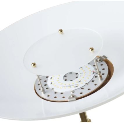 Paul Neuhaus 655-60 - Dimbar LED-golvlampa ALFRED LED/28W/230V+LED/4W/230V mässing