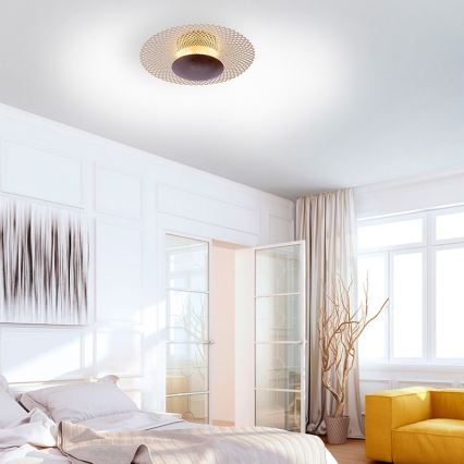 Paul Neuhaus 6551-48 - LED ljusreglerad taklampa  NEVIS LED/18W/230V