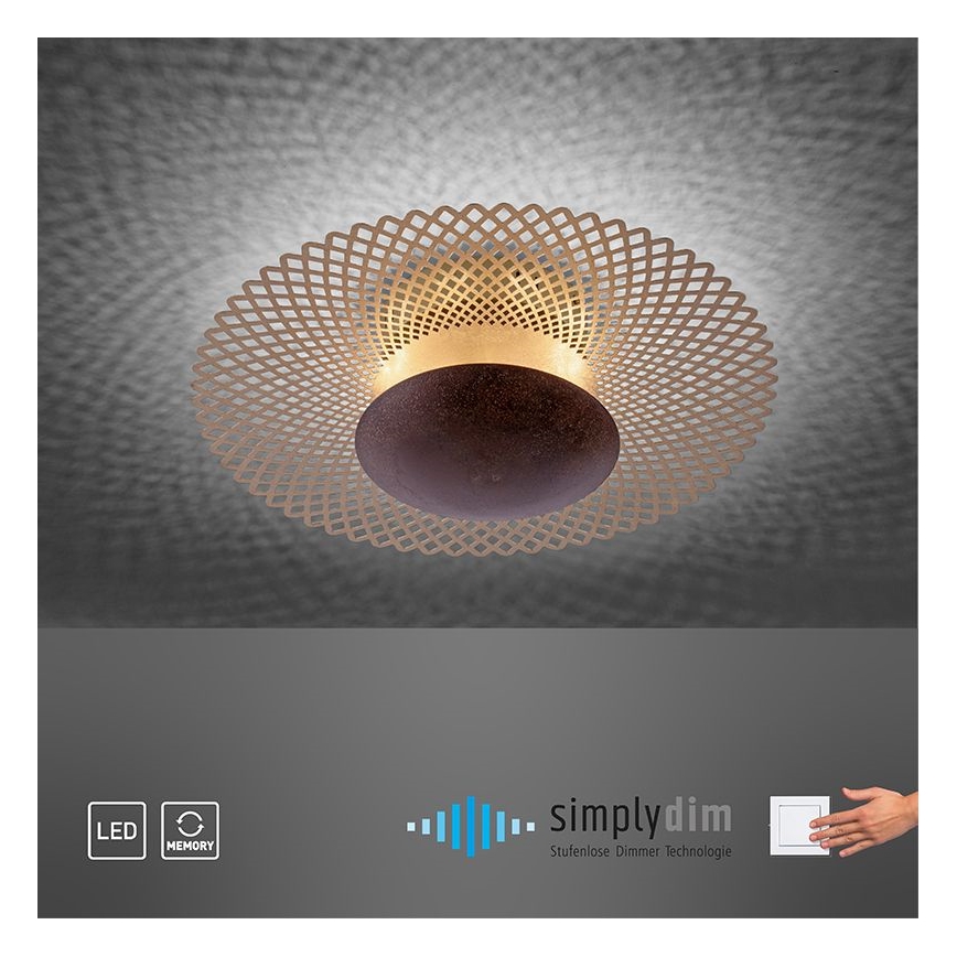 Paul Neuhaus 6551-48 - LED ljusreglerad taklampa  NEVIS LED/18W/230V