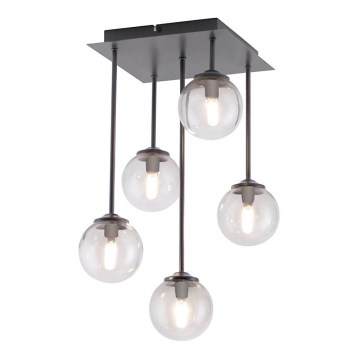 Paul Neuhaus 6719-18 - LED hängande Ljuskrona  WIpåW 5xG9/3W/230V