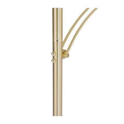 Paul Neuhaus 673-60 - LED dimbar golvlampa ARTUR 2xLED/21W/230V+LED/6W guldfärgad