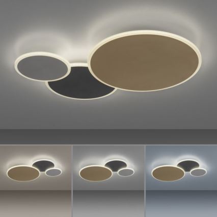 Paul Neuhaus 8007-70 - LED dimbar taklampa Q-PIATO LED/35W/230V 2700-5000K Wi-Fi + fjärrkontroll