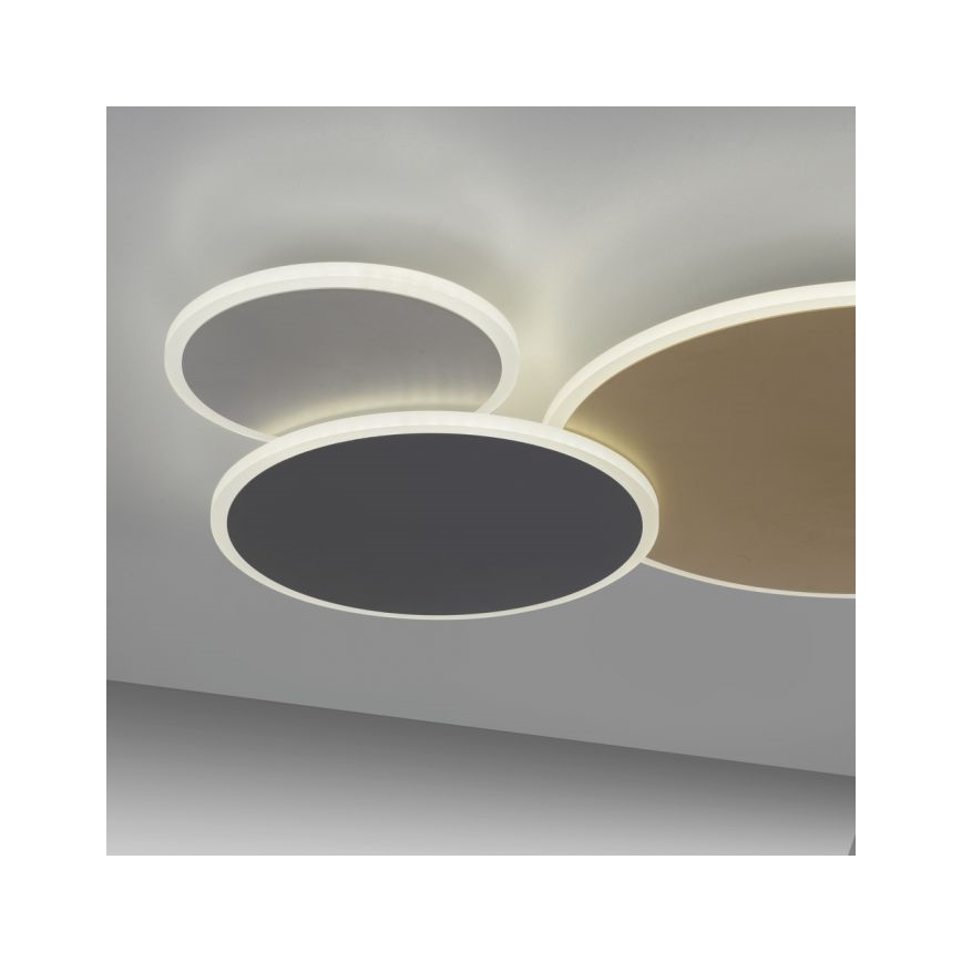 Paul Neuhaus 8007-70 - LED dimbar taklampa Q-PIATO LED/35W/230V 2700-5000K Wi-Fi + fjärrkontroll