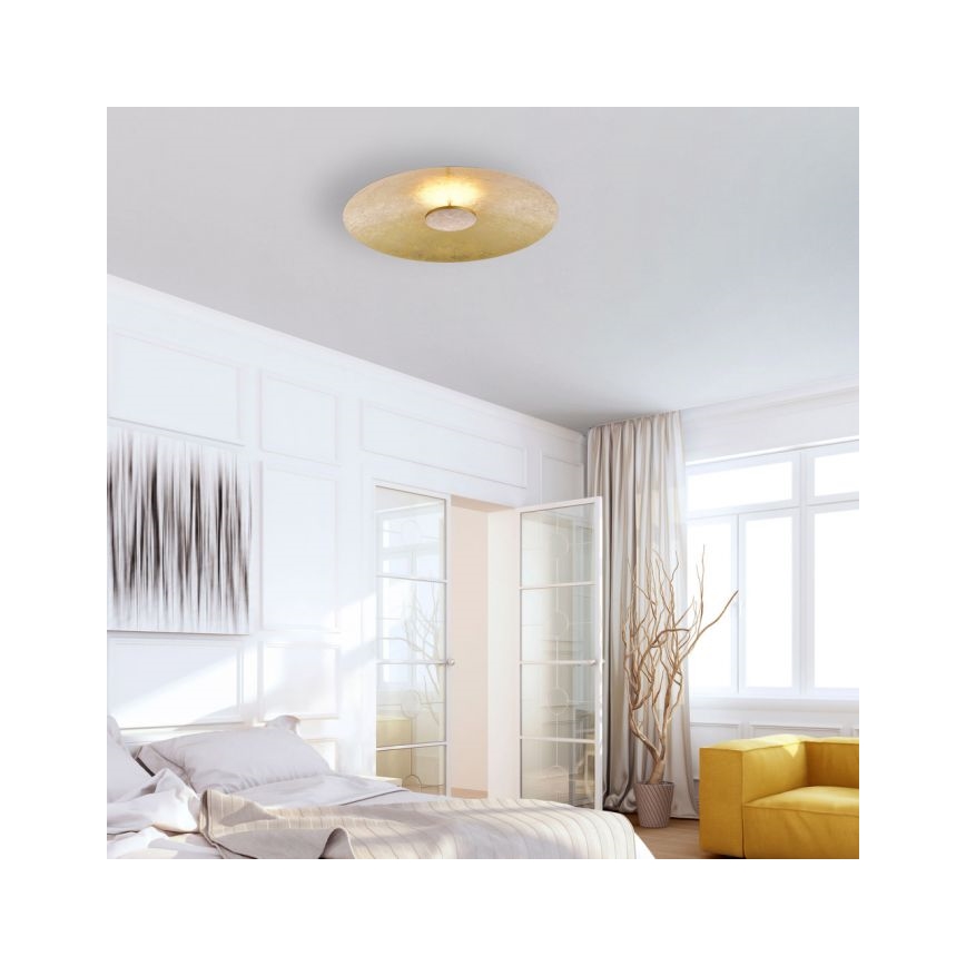 Paul Neuhaus 8132-12 - LED Dimbar Takbelysning PLATE LED/25W/230V