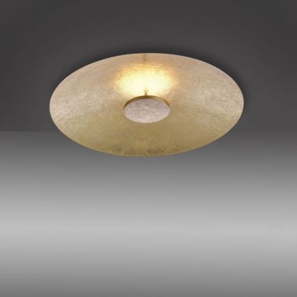 Paul Neuhaus 8132-12 - LED Dimbar Takbelysning PLATE LED/25W/230V