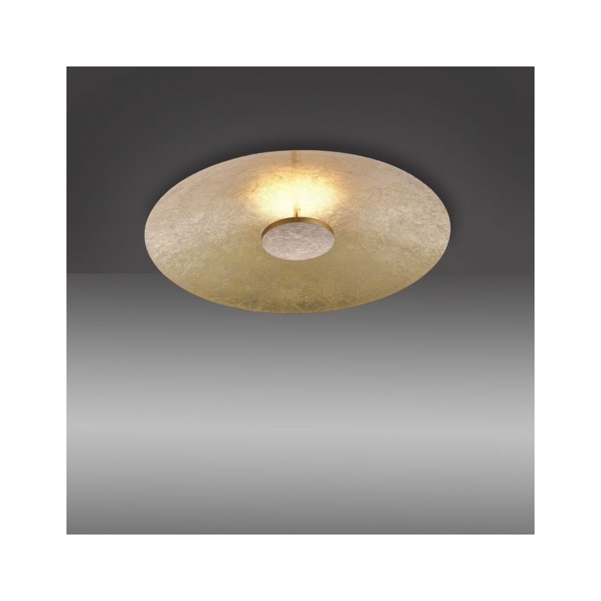 Paul Neuhaus 8132-12 - LED Dimbar Takbelysning PLATE LED/25W/230V