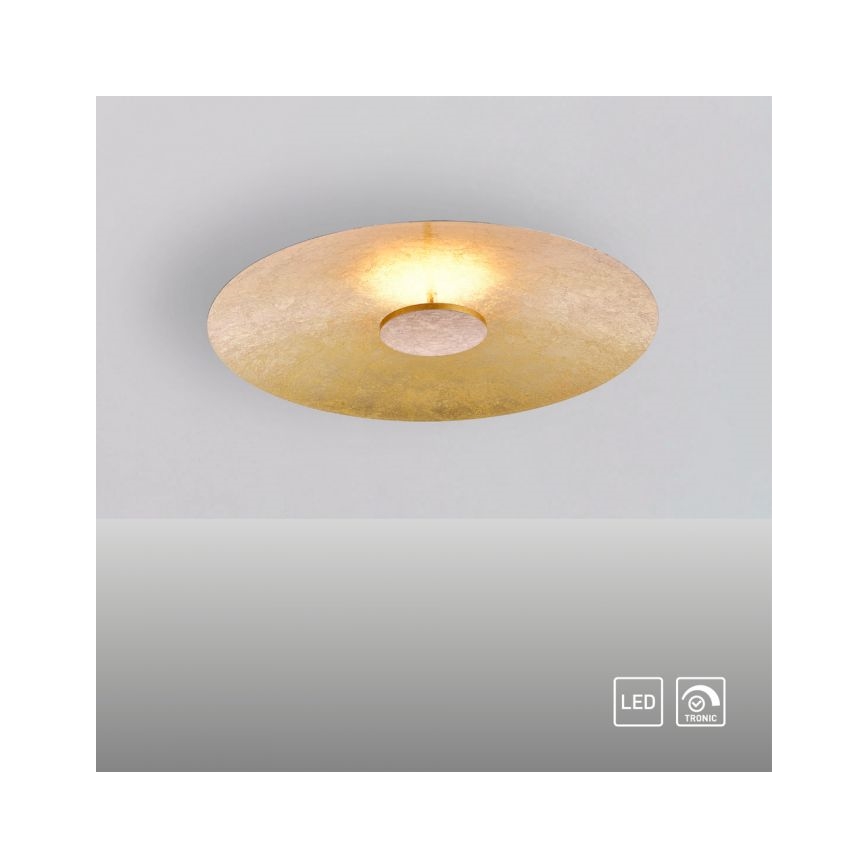 Paul Neuhaus 8132-12 - LED Dimbar Takbelysning PLATE LED/25W/230V