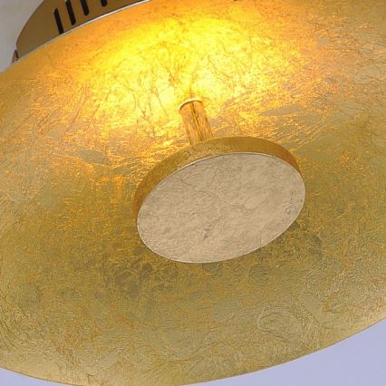 Paul Neuhaus 8132-12 - LED Dimbar Takbelysning PLATE LED/25W/230V