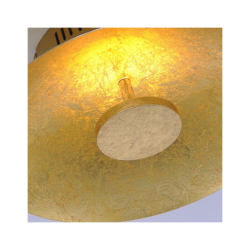 Paul Neuhaus 8132-12 - LED Dimbar Takbelysning PLATE LED/25W/230V