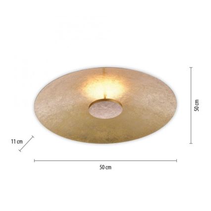 Paul Neuhaus 8132-12 - LED Dimbar Takbelysning PLATE LED/25W/230V