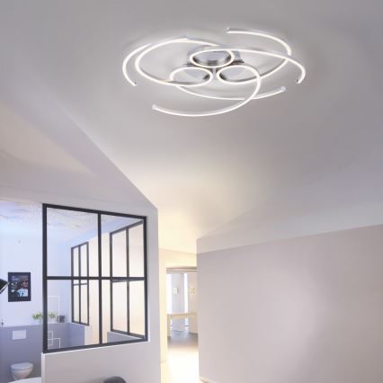 Paul Neuhaus 8165-55 - LED Dimbar Takbelysning DANILO 3xLED/12W/230V